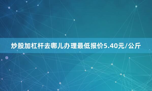 炒股加杠杆去哪儿办理最低报价5.40元/公斤