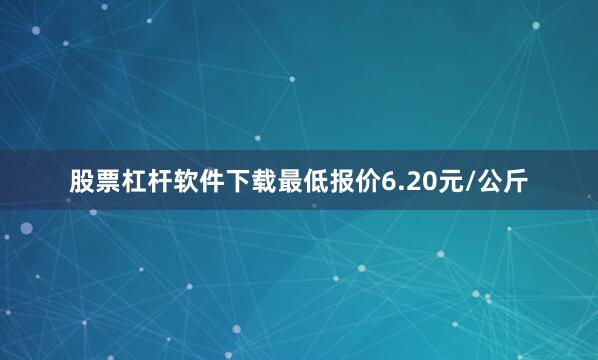 股票杠杆软件下载最低报价6.20元/公斤