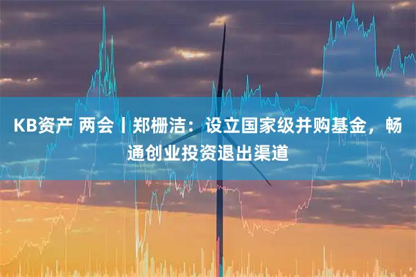 KB资产 两会丨郑栅洁：设立国家级并购基金，畅通创业投资退出渠道